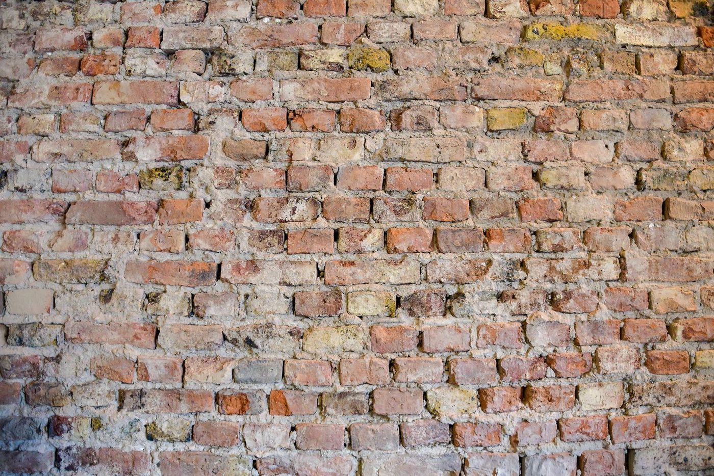 Historische Backsteinwand im MAS MONTI